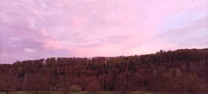 IMG-20260417-WA0036(1)