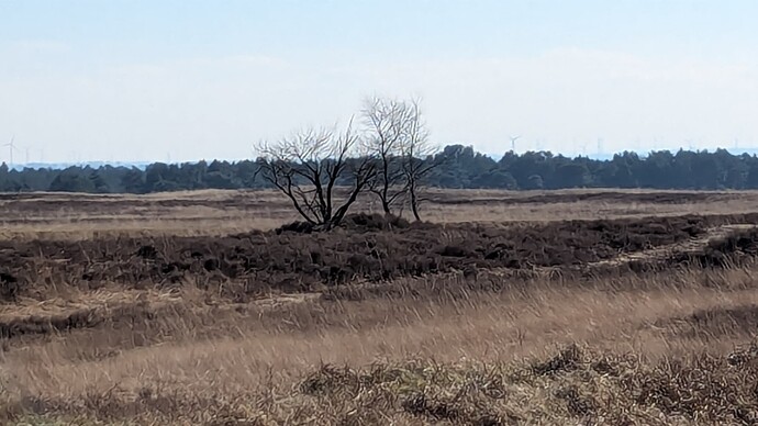 PXL_20250316_143158844.MP