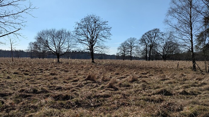 PXL_20250316_140354571.MP