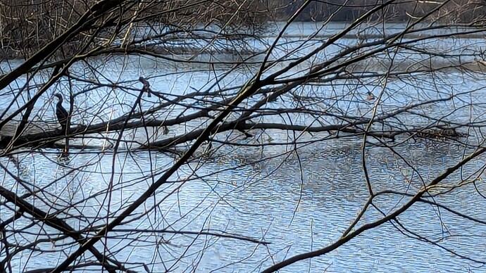 PXL_20250316_134325109.MP