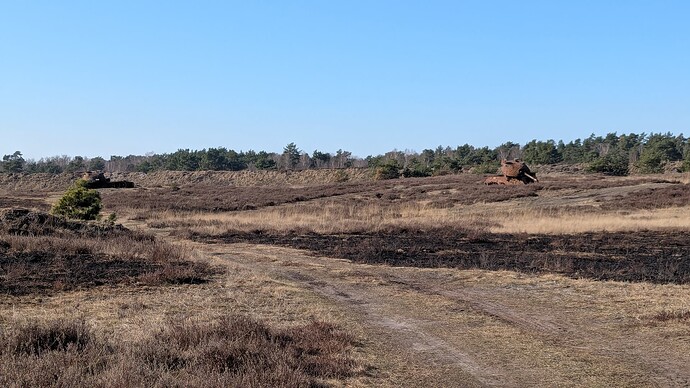 PXL_20250316_143540269.MP