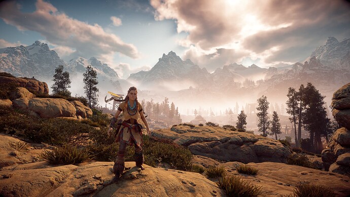 Horizon ZD - 09