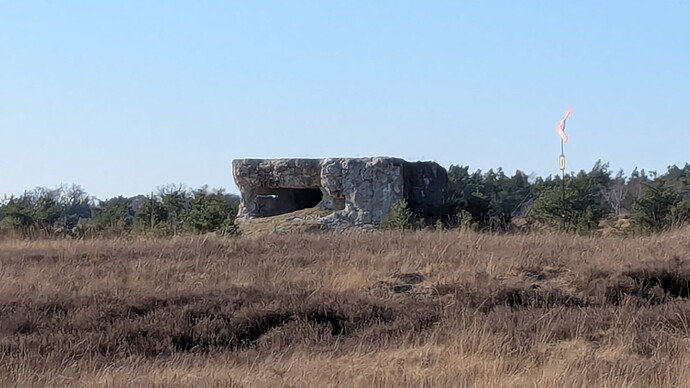 PXL_20250316_143306065.MP