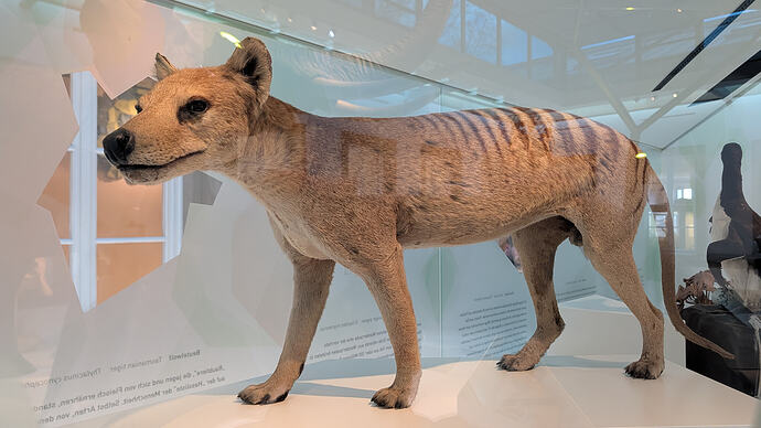 PXL_20260301_101323299