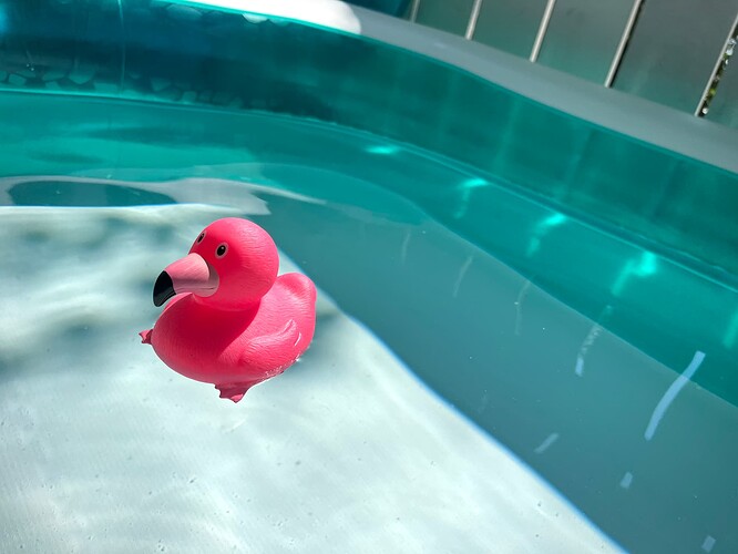 flamingo