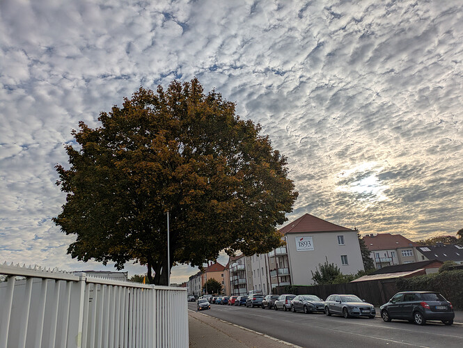PXL_20261001_065729494