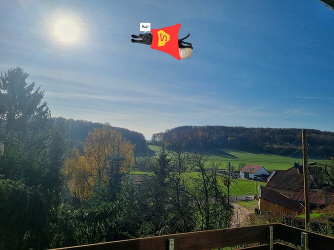 20241103_115938