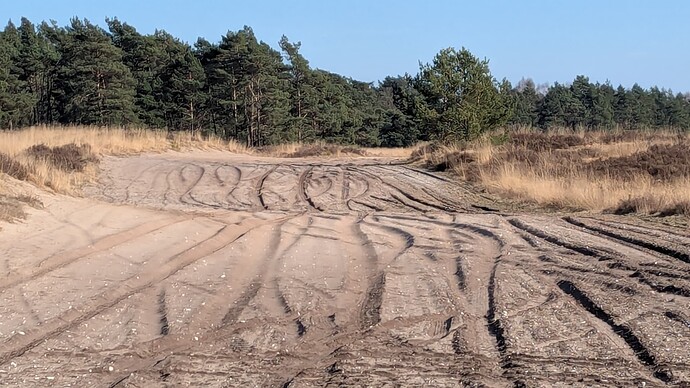 PXL_20250316_143147382.MP