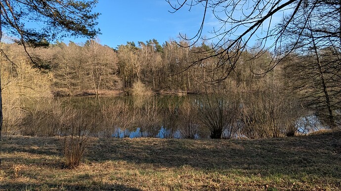 PXL_20250316_150756511.MP