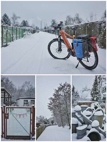 IMG_20260217_115519-picsay