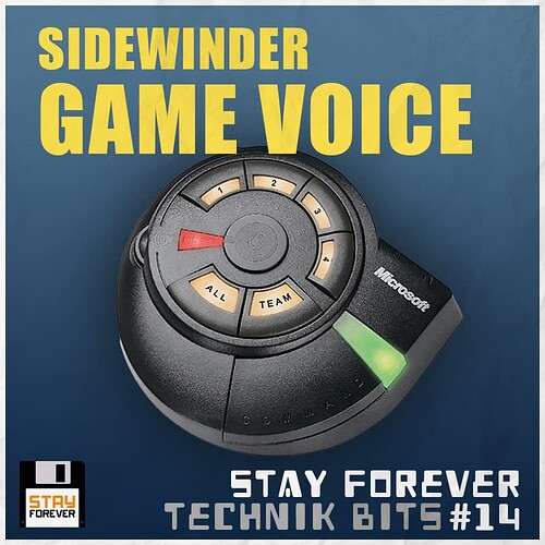 Technik_Bits-14-Game_Voice