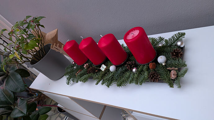 PXL_20251130_152854060.MP