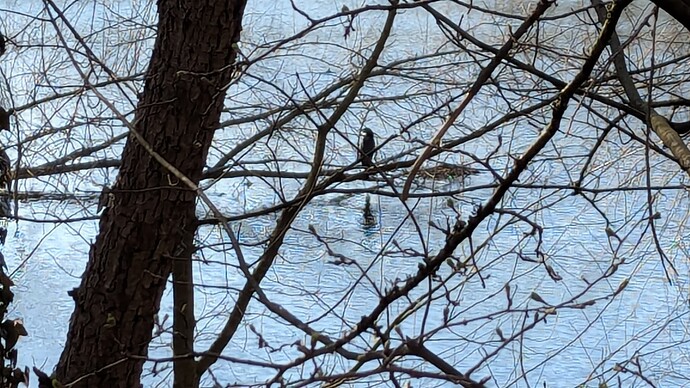 PXL_20250316_134241860.MP