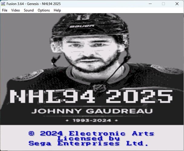 NHL94_2025