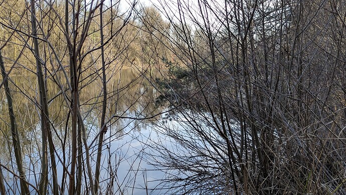 PXL_20250316_151534721.MP