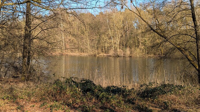 PXL_20250316_150611893.MP