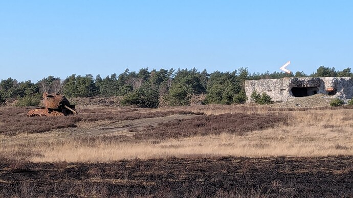 PXL_20250316_143549830.MP