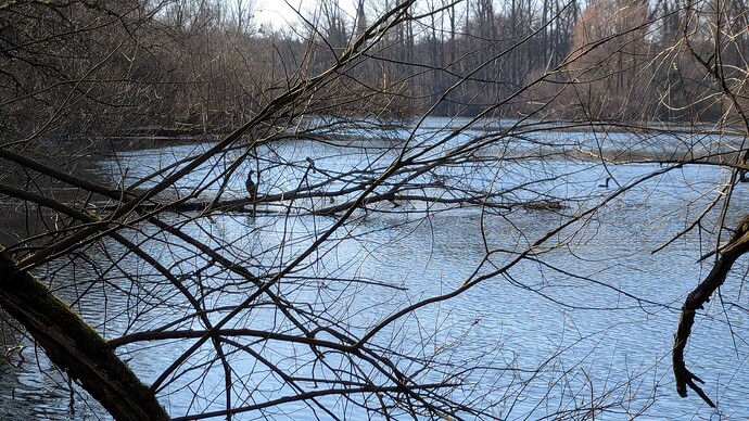 PXL_20250316_134313862.MP