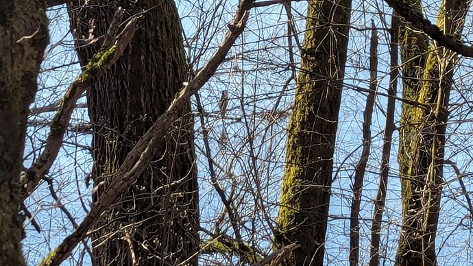 PXL_20250316_134220787.MP