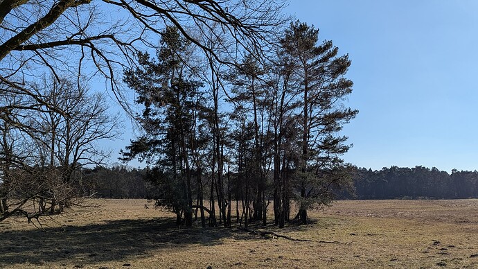 PXL_20250316_141433292.MP