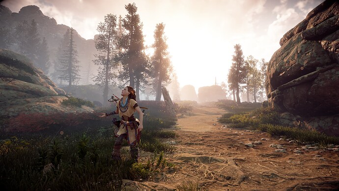 Horizon ZD - 10