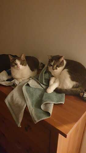 IMG-20240102-WA0016