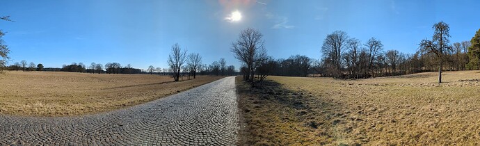 PXL_20250316_142011817.PANO