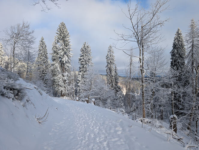 PXL_20260104_100722271