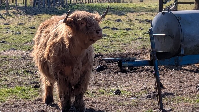 PXL_20250316_135440945.MP