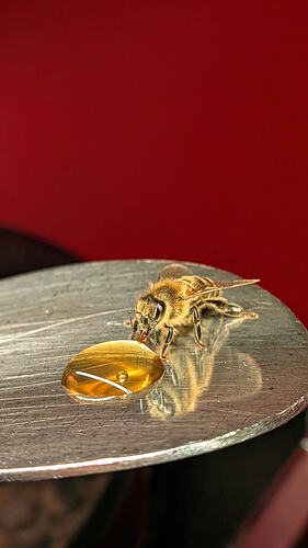 PXL_20260117_133802173.PORTRAIT~2