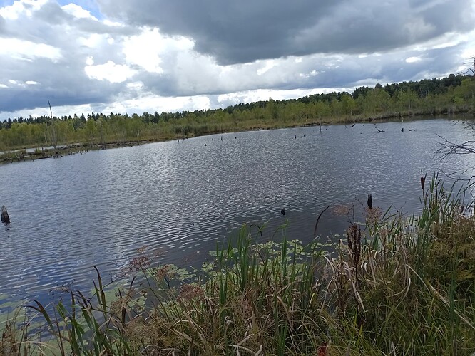 IMG_20250830_131458_268