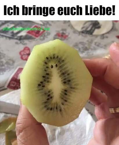 541053047_1357806196058663_473868832048328459_n