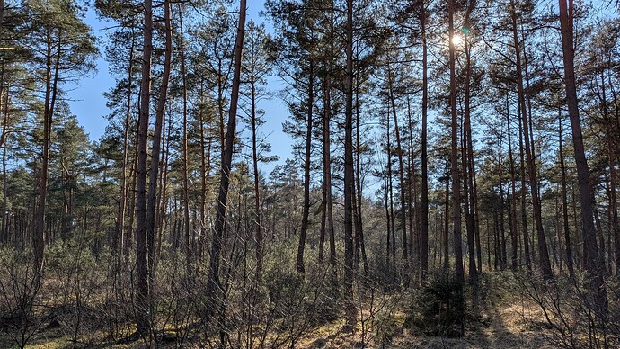 PXL_20250316_142805109.MP