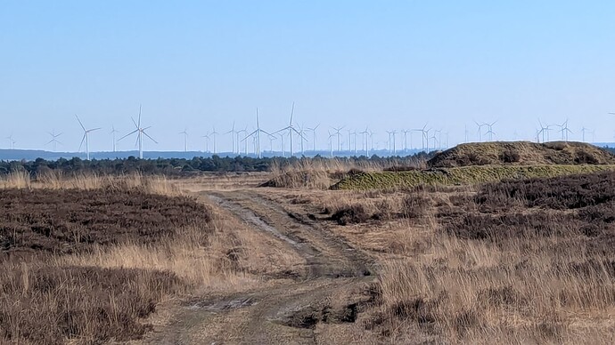 PXL_20250316_143139280.MP