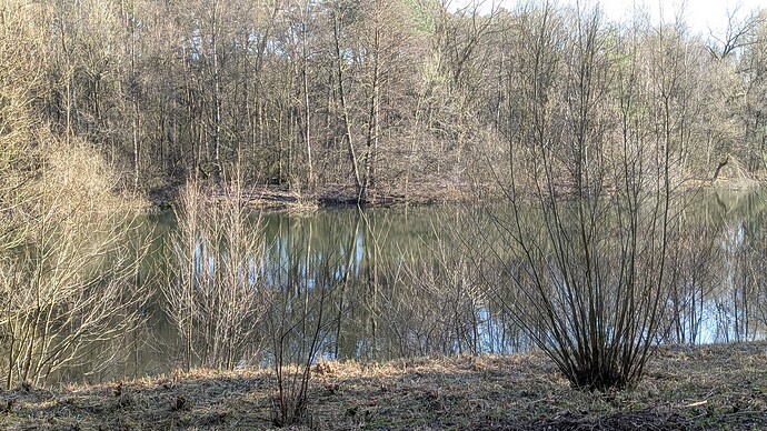 PXL_20250316_151011799.MP