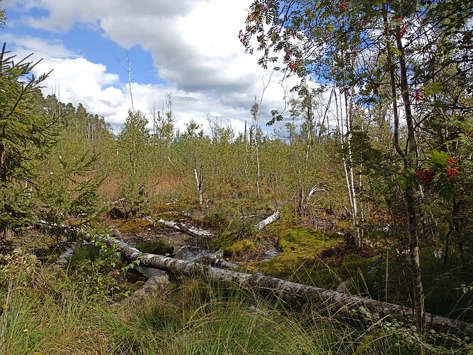 IMG_20250830_132123_433