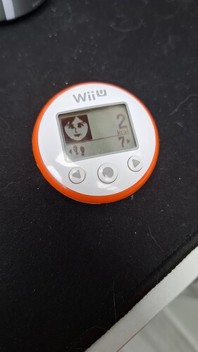 1000017441