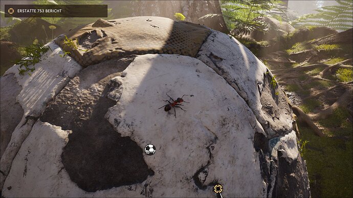 empire-of-the-ants-fussball
