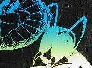 Cover1