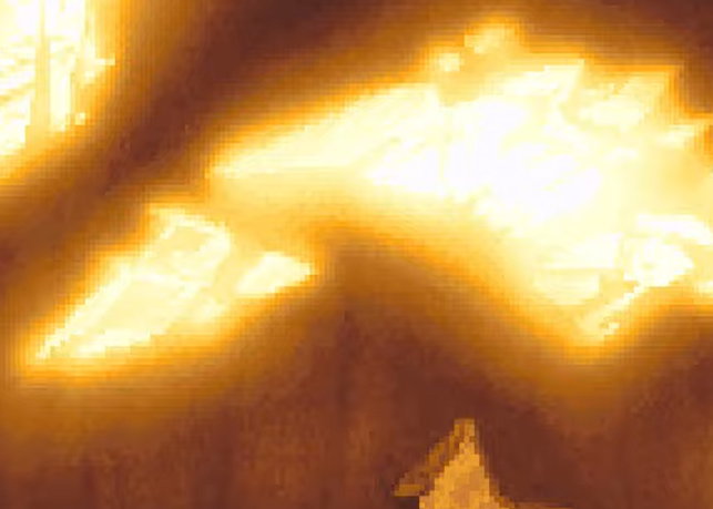 l1