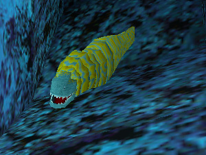 Morayeel