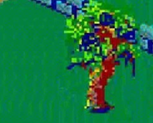 Screenshot_20240613-070333_Gallery