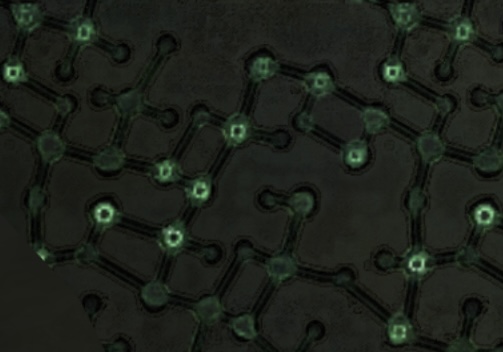 2024.04.24 - 16.36.23.79